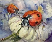Mariquitas - Ladybugs