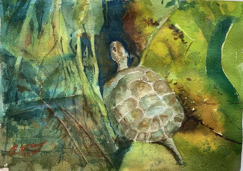 La Tortuga del Estanque, cuadro de Alicia Prado