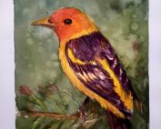 Una acuarela que representa un tanager occidental. El ave está posada en una rama y tiene un plumaje multicolor. La pintura transmite una sensación de belleza y vitalidad.