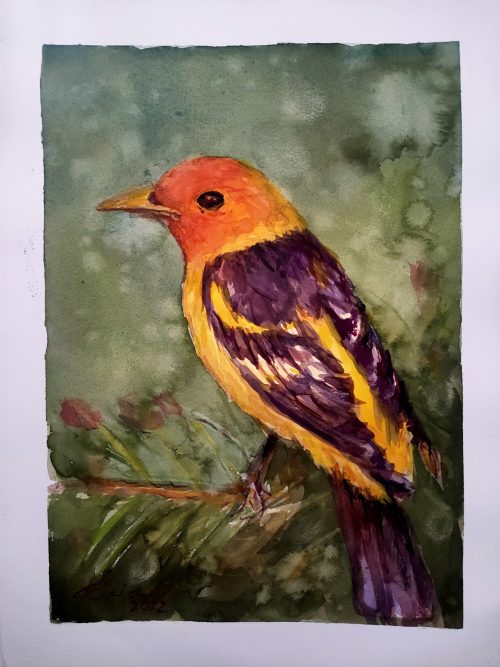 Una acuarela que representa un tanager occidental. El ave está posada en una rama y tiene un plumaje multicolor. La pintura transmite una sensación de belleza y vitalidad.