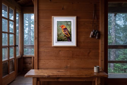 «Tanager occidental», cuadro original de Alicia Prado, colgado en mirador de madera en un refugio de montaña