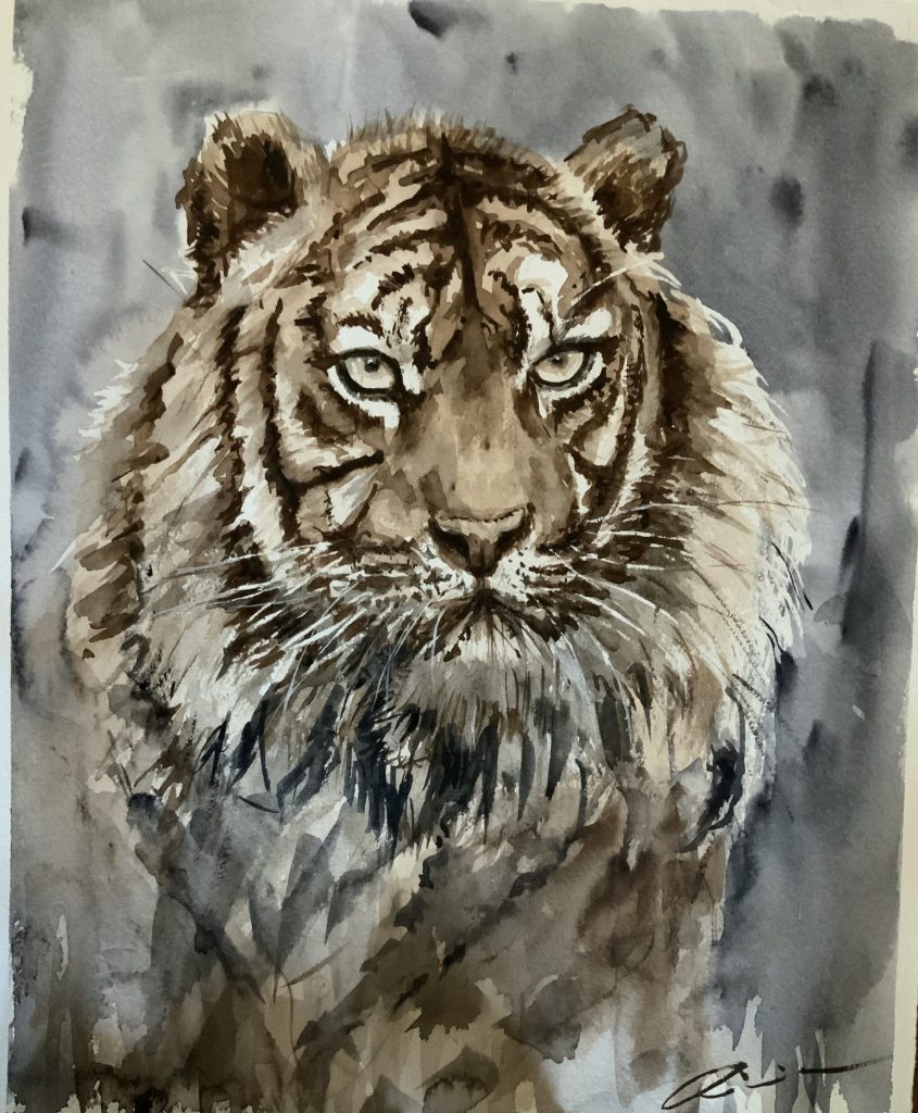 Tigre de Bengala, cuadro de Alicia Prado